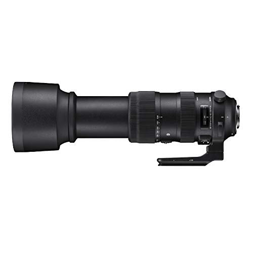 Sigma 60-600mm Fixed Zoom F4.5-6.3 DG OS HSM Camera Lenses, Black