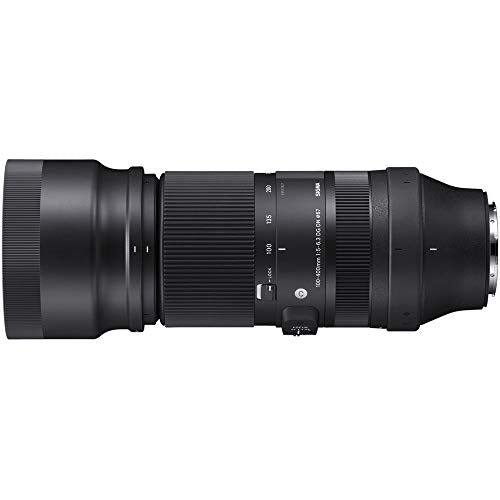 Sigma 100-400mm F-5.6.3 DG DN OS