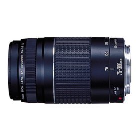 Canon EF 75-300mm f/4-5.6 III Telephoto Zoom Lens
