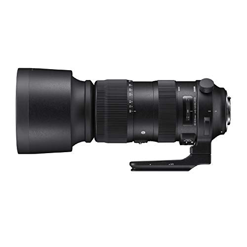 Sigma 60-600mm Fixed Zoom F4.5-6.3 DG OS HSM Camera Lenses, Black