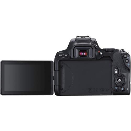 Canon EOS Rebel SL3 DSLR Camera (Black, Body Only) Bundle with 2x64GB Memory Card + Battery for CanonLPE17 + LCD Screen