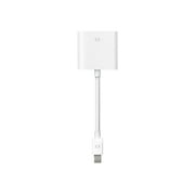 Apple Mini DisplayPort to DVI Adapter MB570Z/A