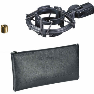 Audio-Technica AT2035 Cardioid Condenser Microphone, 10 Ft XLR Cable, Bundle