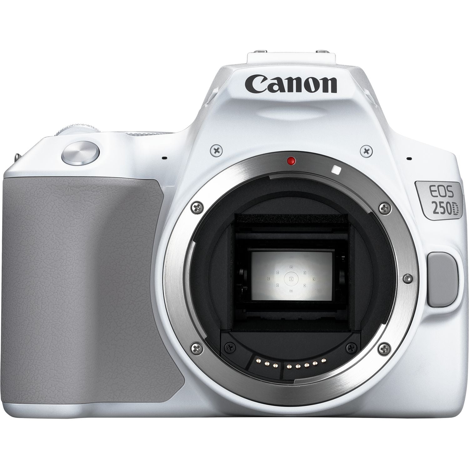 Canon EOS 250D / Rebel SL3 DSLR Camera (Body Only) + Canon Lens + More Bundle