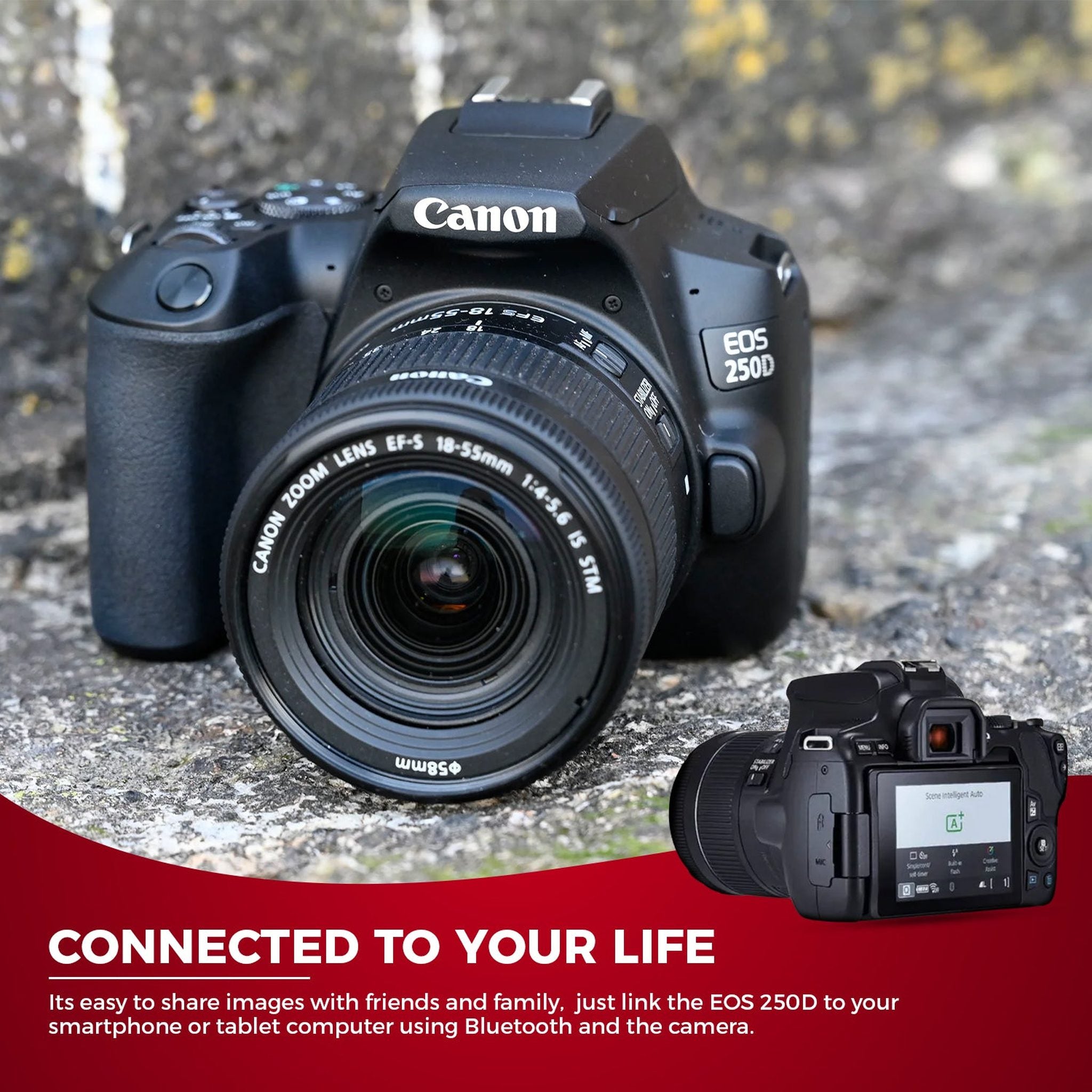 Canon EOS 250D / Rebel SL3 DSLR Camera with 18-55mm Lens Black + Creative Filter Set, EOS Camera Bag + Sandisk Ultra 64GB Card + Electronics Cleaning Set, And More International Model - Used Canon