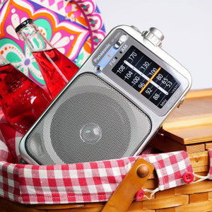 Panasonic Portable AM / FM Radio, Battery Operated Analog Radio, AC Powered, Silver RF-2400D