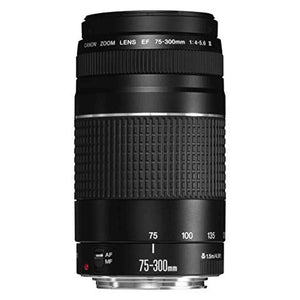 Canon EF 75-300mm f/4-5.6 III USM Telephoto Zoom Lens for Canon SLR Cameras - Used Canon