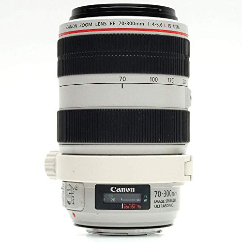 Canon EF 70-300mm f4-5.6 L is USM Lenses