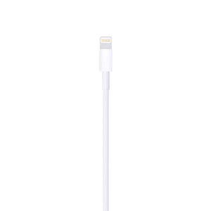Apple Lightning to USB Cable 2 m