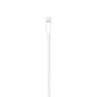 Apple Lightning to USB Cable 2 m