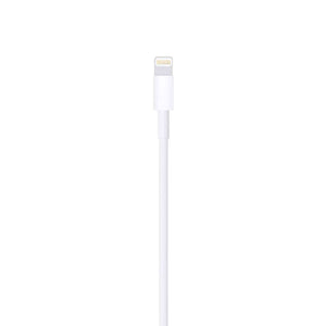 Apple Lightning to USB Cable 2 m