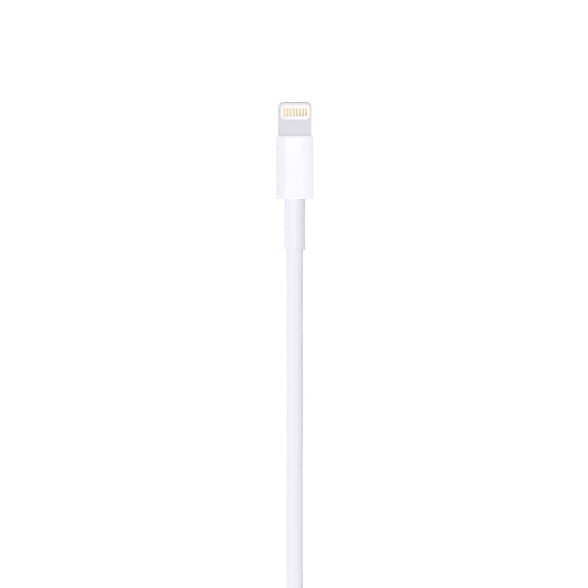 Apple Lightning to USB Cable 2 m