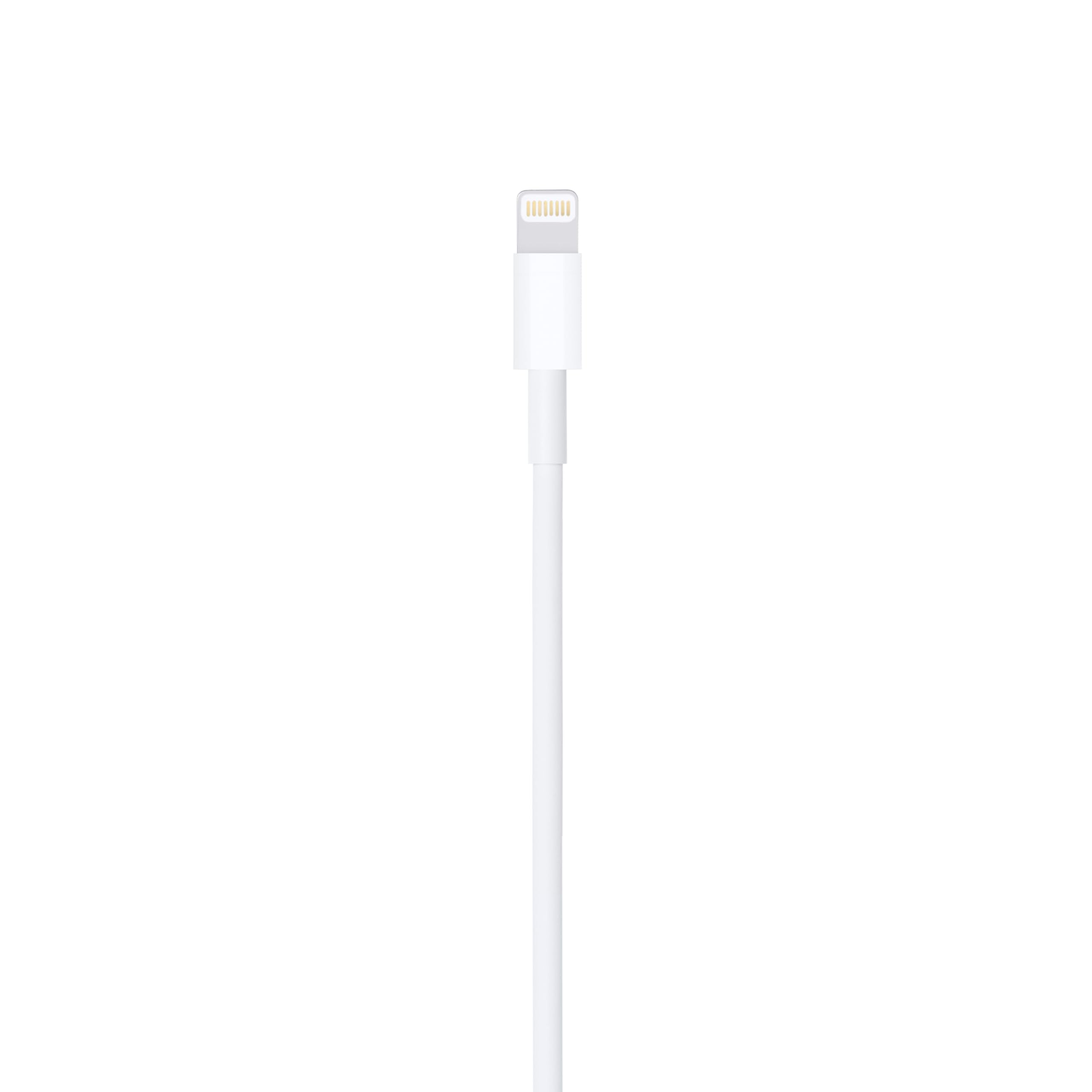 Apple Lightning to USB Cable (2 m)