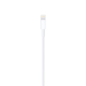 Apple Lightning to USB Cable 2 m