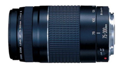 Canon EF 75-300mm f/4-5.6 III USM Telephoto Zoom Lens for Canon SLR Cameras + 3 Piece Filter Kit + Lens Pen Cleaner + Shock Proof Deluxe Lens Case + Microfiber Cleaning Cloth + Accessory Saver Bundle! Canon