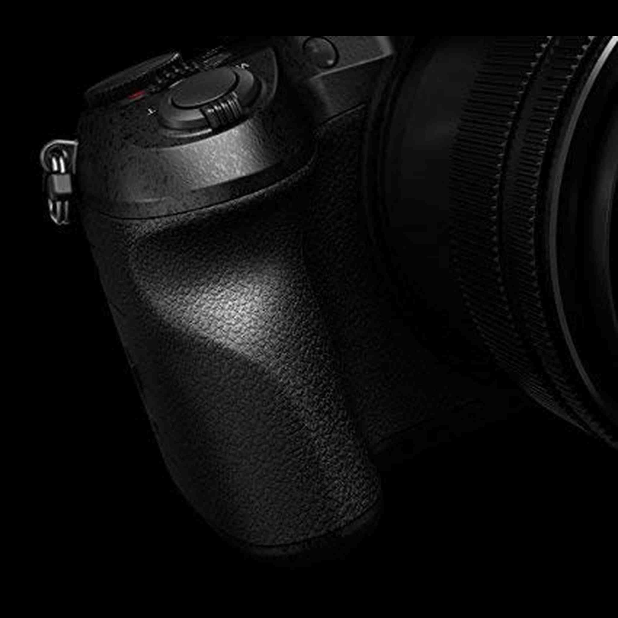 PANASONIC LUMIX FZ2500 4K Point and Shoot Camera, 20X LEICA DC Vario-ELMARIT F2.8-4.5 Lens, 21.1 Megapixels, 1 Inch High Sensitivity Sensor, DMC-FZ2500 Renewed - Reconditioned Panasonic