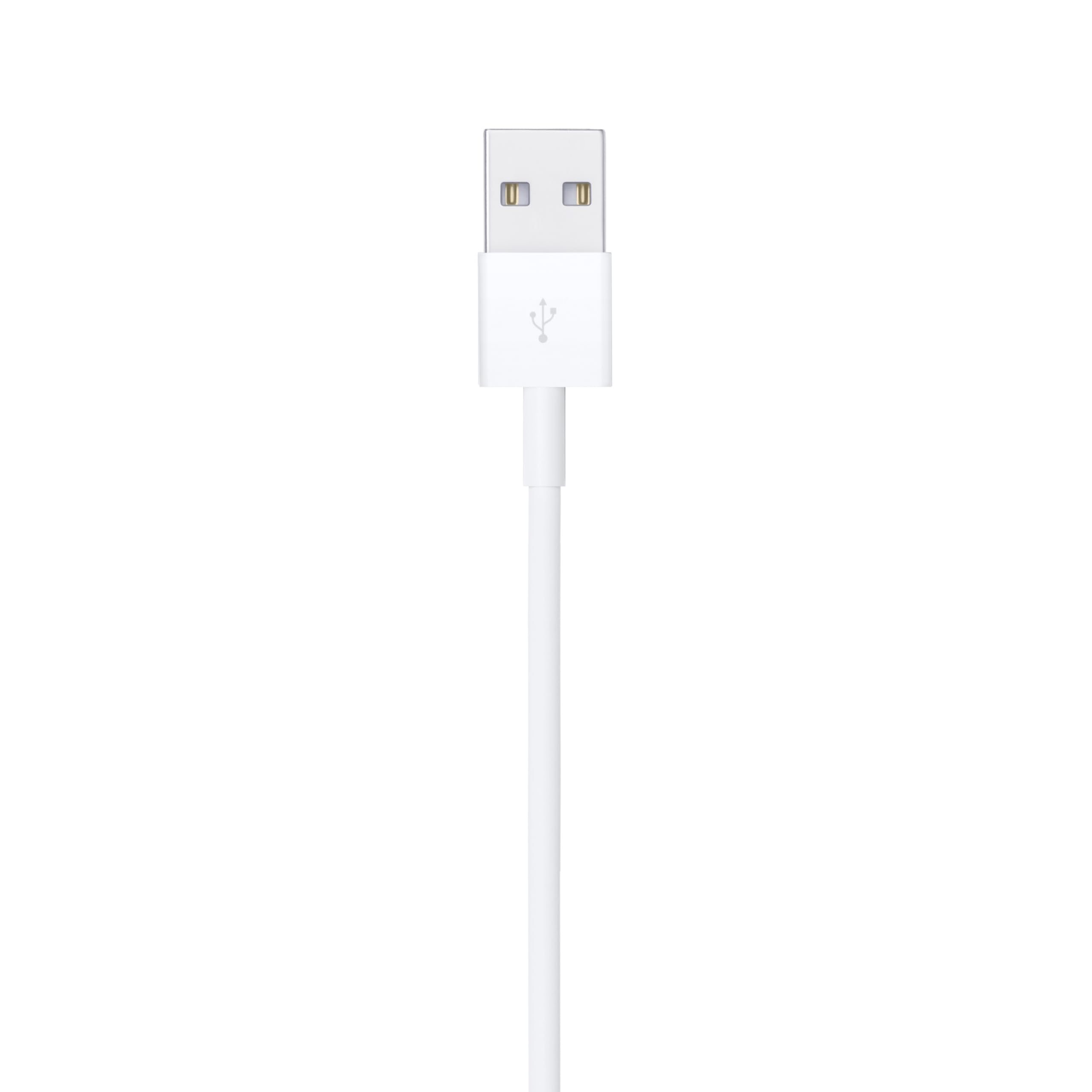 Apple Lightning to USB Cable 2 m