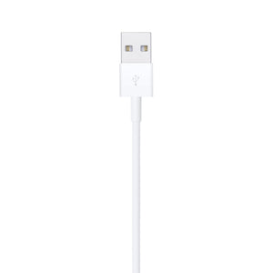 Apple Lightning to USB Cable 2 m