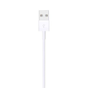 Apple Lightning to USB Cable 2 m