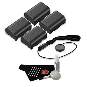 4 Batteries for Panasonic DMW-BLF19 + Accessories Kit