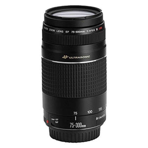 Canon EF 75-300mm f/4-5.6 III USM Telephoto Zoom Lens for Canon SLR Cameras - Used Canon