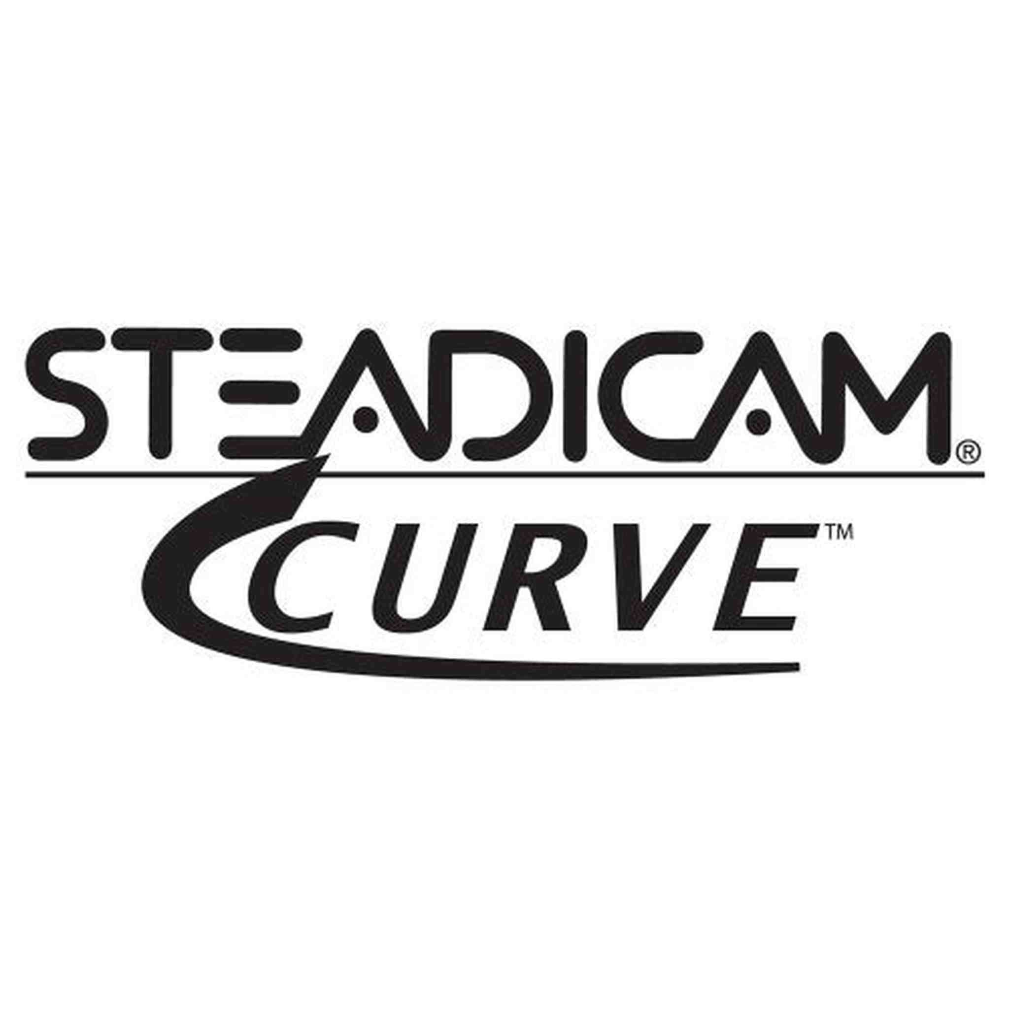 Steadicam CURVE-BK Handheld Video Stabilizer and grip for GoPro Hero Cameras 3, 4 Black & Hero 5 Blue
