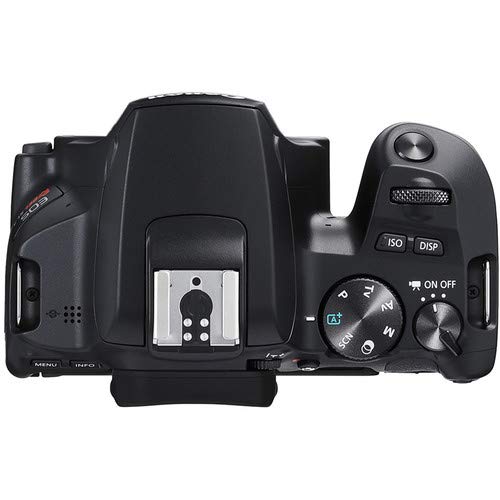Canon EOS Rebel SL3 DSLR Camera (Black, Body Only) Bundle with 2x32GB Memory Card + Battery for CanonLPE17 + LCD Screen