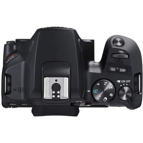 Canon EOS Rebel SL3 DSLR Camera Black, Body Only Bundle with 2x32GB Memory Card + Battery for CanonLPE17 + LCD Screen