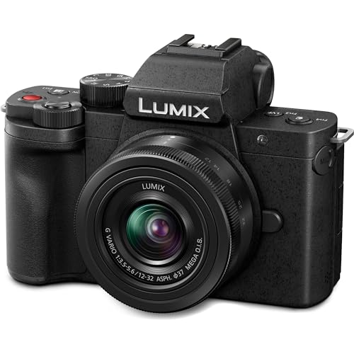 Panasonic Lumix G100 Mirrorless Camera With 12-32mm Lens Vlogging Camera Bundle