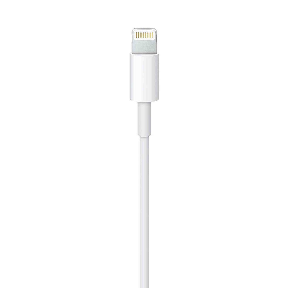 Apple Lightning to USB Cable 1 m