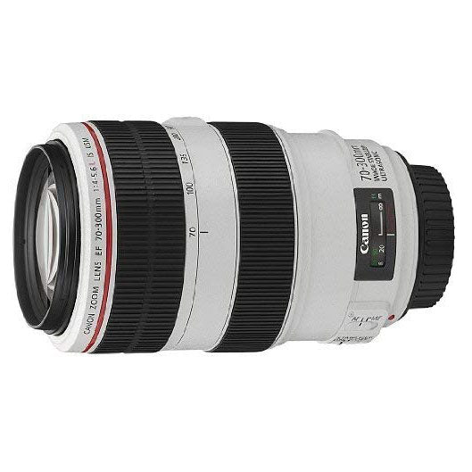 Canon EF 70-300mm f4-5.6 L is USM Lenses