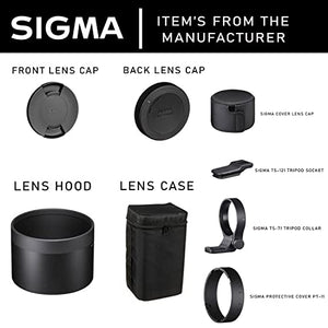 Sigma 150-600mm f/5-6.3 DG DN OS Sports Lens for Sony E + Accessories