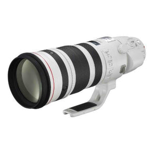 Canon EF 200-400mm f/4L IS USM Extender 1.4x - Used Canon
