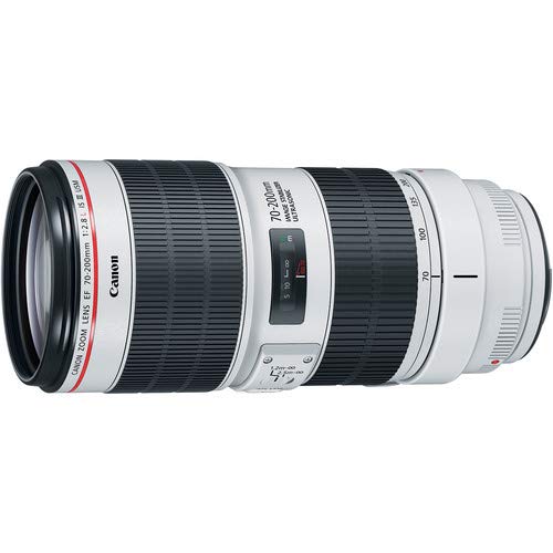 Canon EF 70-200mm III USM Telephoto Zoom Lens for Canon DSLR - Bundle