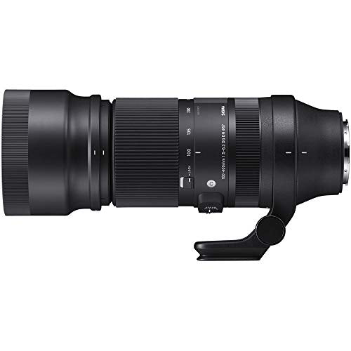 Sigma 100-400mm F-5.6.3 DG DN OS