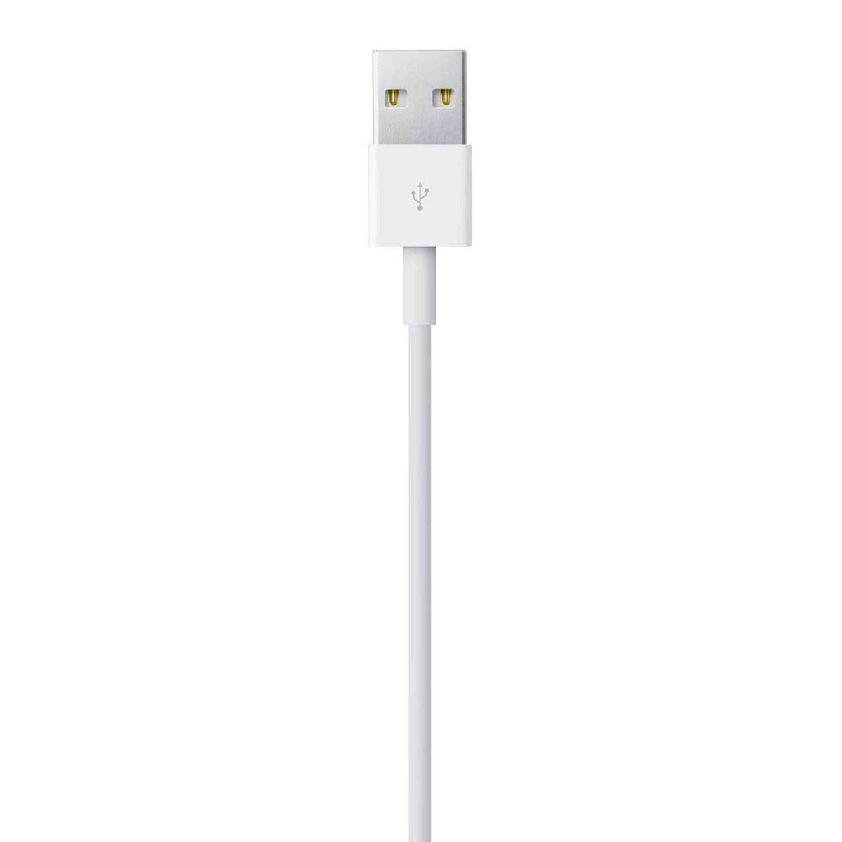 Apple Lightning to USB Cable 1 m