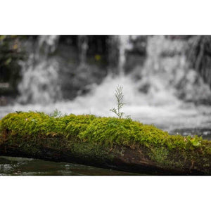 28-105mm F2.8 DG DN for L-Mount