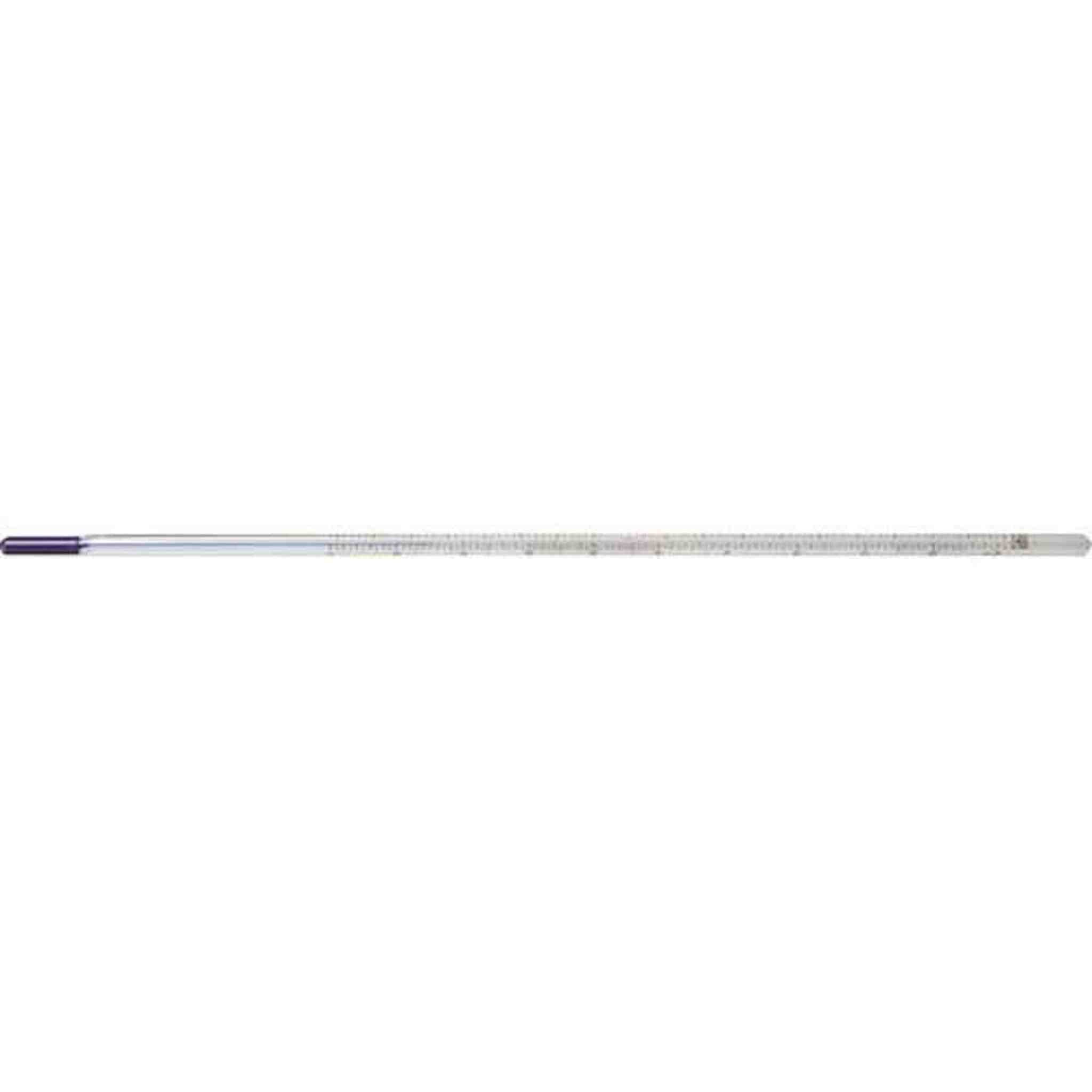 Paterson Certified Thermometer 30cm 12