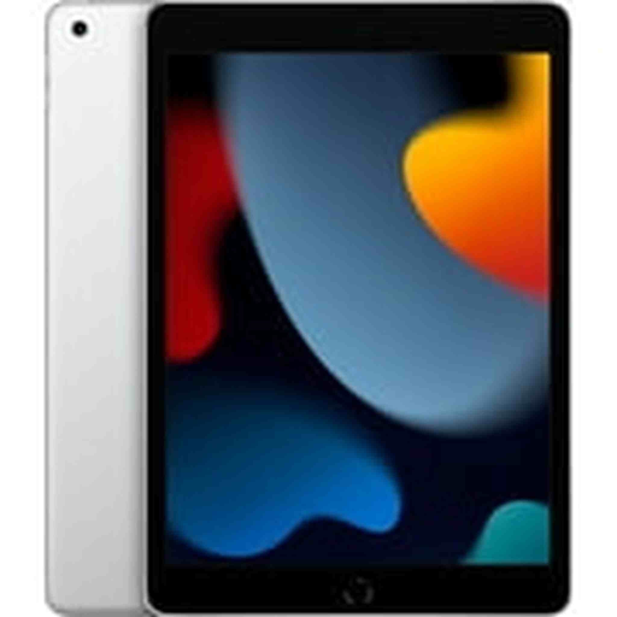 Apple 10.2-inch iPad 64GB/256GB Wi-Fi Only 2021 - Apple