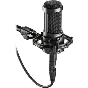 Audio-Technica AT2035 Cardioid Condenser Microphone, 10 Ft XLR Cable, Bundle