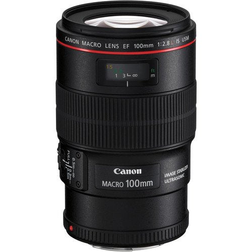 Canon EOS 6D Mark II DSLR Camera (Body Only) Basic Filter w/Memory Bundle + Bonus EF 100mm f/2.8L Macro is USM Lens - In