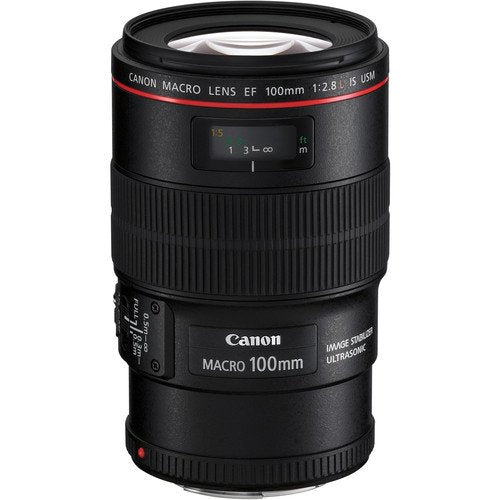 Canon EOS 6D Mark II DSLR Camera (Body Only) Basic Filter Bundle + Bonus EF 100mm f/2.8L Macro is USM Lens - Internation