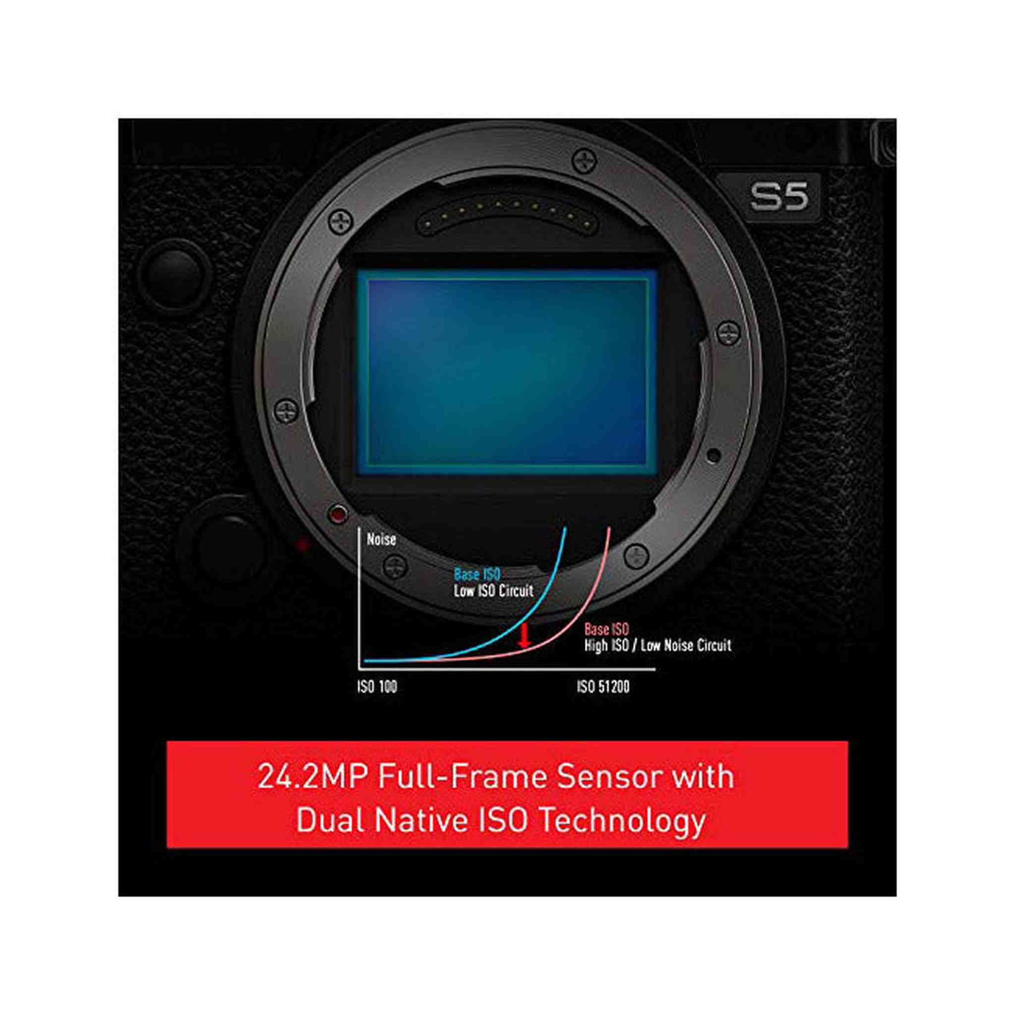Panasonic Lumix DC-S5 Mirrorless Camera with 20-60mm Lens