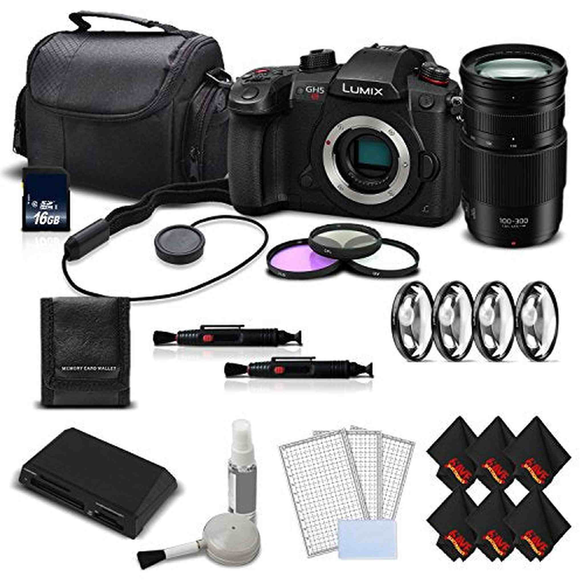 Panasonic Lumix DC-GH5S Camera International Version + Panasonic Lumix G Vario 100-300mm f/4-5.6 II Lens