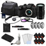 Panasonic Lumix DC-GH5S Camera + 100-300mm Lens Starter Bundle 03