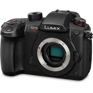 Panasonic Lumix DC-GH5S Mirrorless Micro Four Thirds Digital Camera DC-GH5S - Silver + Level Bundle- International Version
