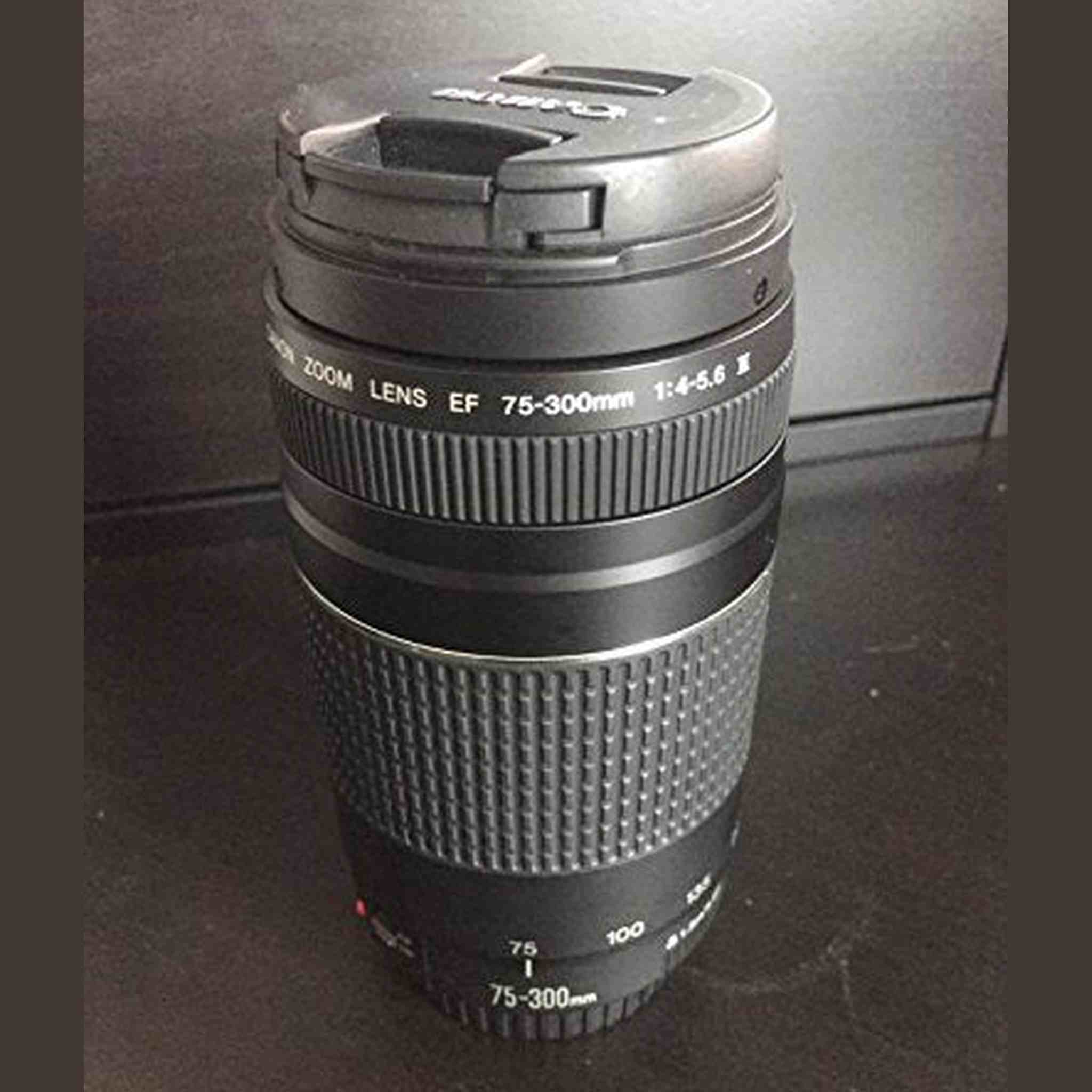 Canon EF 75-300mm f/4-5.6 III Lens - Reconditioned Canon