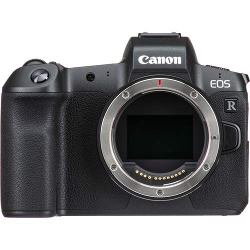 Canon EOS R Mirrorless Digital Camera International Model 3075C002 W/Bag, 128 GB Memory Card, LED Light Bundle