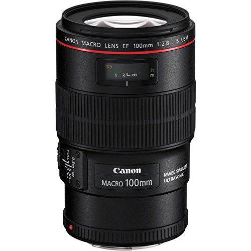 Canon EOS 5D Mark IV DSLR Camera Body Only Basic Kit (International Model) w/Canon EF 100mm f/2.8L Macro is USM Lens