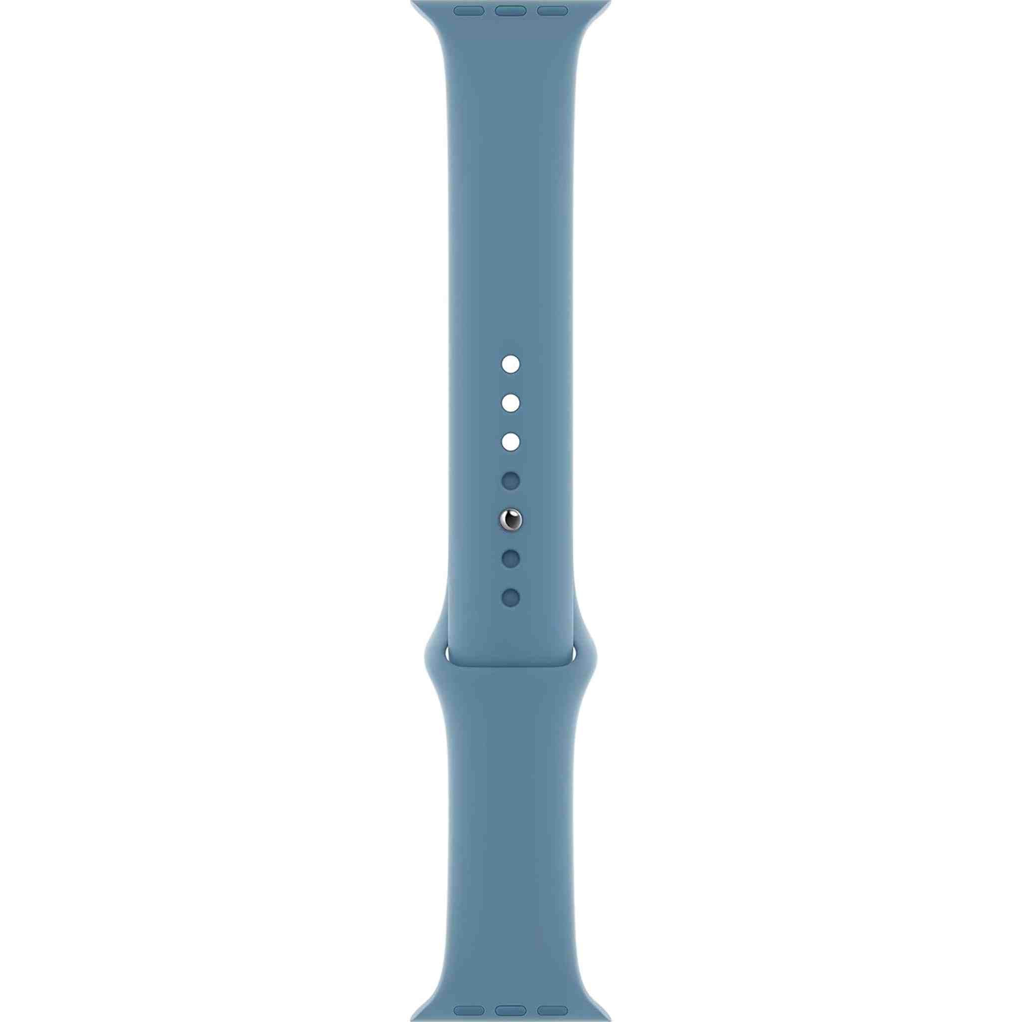 Apple Watch Band - Sport Band 40mm - Northern Blue - Regular Apple